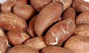 Guérir L'Éjaculation Précoce Avec Les Plantes