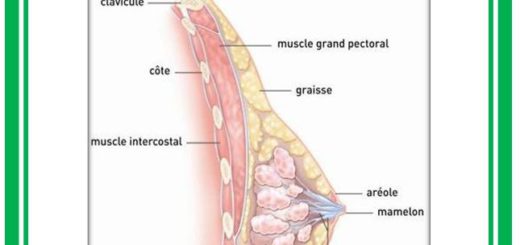 Guérir Naturellement Cancer Du Sein