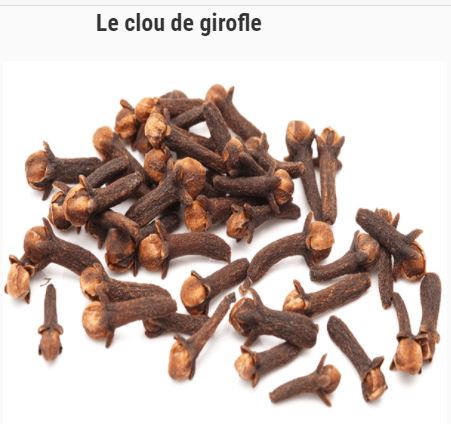 Recette Magique Pour Tomber Enceinte Avec le Clou de Girofle