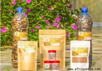 Fièvre Typhoïde Traitement Naturel