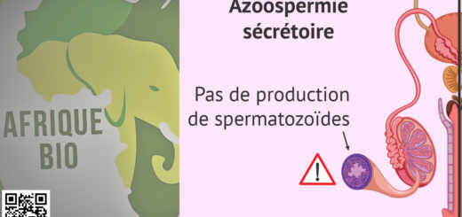 Guérir Naturellement L'Azoospermie SécrétoireAzoospermie Symptômes Traitement Naturel - Azoospermie sécréroire