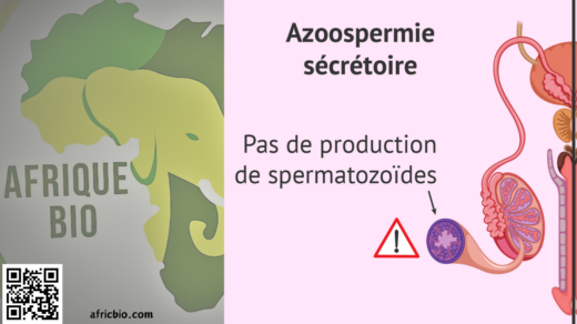 Guérir Naturellement L'Azoospermie SécrétoireAzoospermie Symptômes Traitement Naturel - Azoospermie sécréroire