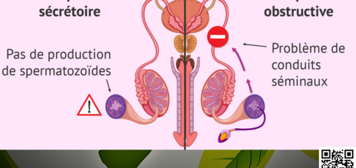 Guérir L'Azoospermie Avec Les Plantes