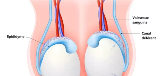 Guérir La Cryptorchidie Naturellement
