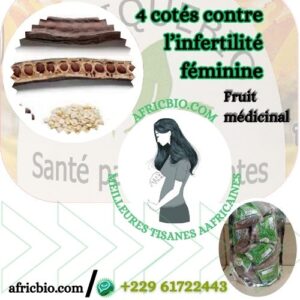 Utiliser Tetrapleura tetraptera Contre L'Infertilité Féminine