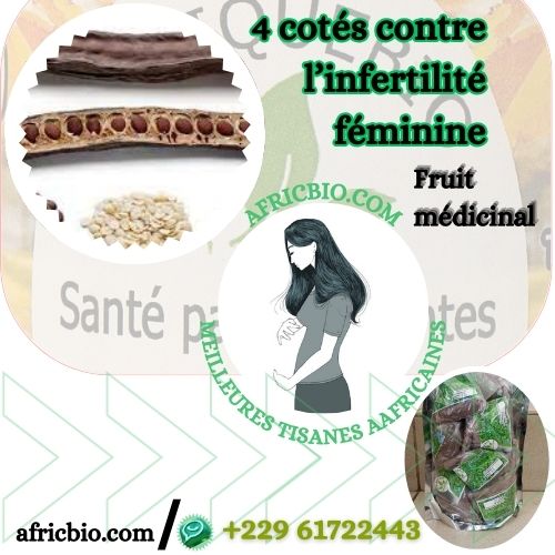 Utiliser Tetrapleura tetraptera Contre L'Infertilité Féminine