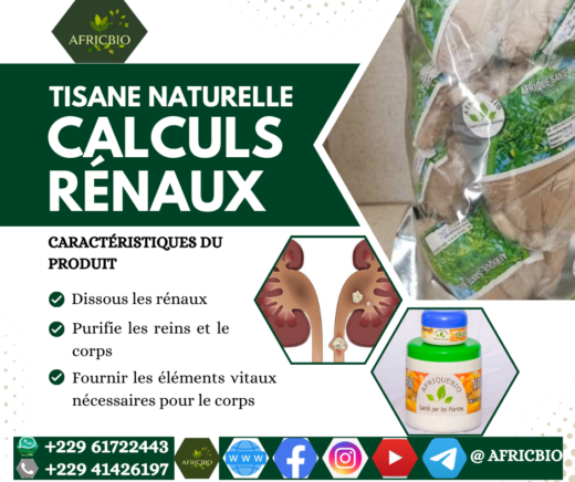 Guérir Lithiase Rénale Naturellement