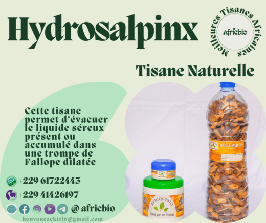 Guérir Naturellement L'Hydrosalpinx