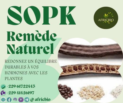 Guérir Syndrome Ovaires Polykystiques
