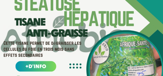 Guérir Stéatose Hépatique Naturellement