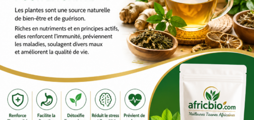 Bienfaits Des Plantes Naturelles